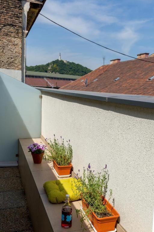 Erkel Rooftop Suites Budapest Luaran gambar