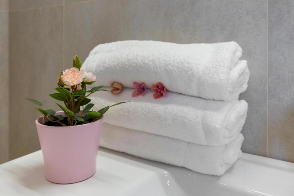 Erkel Rooftop Suites Budapest Luaran gambar
